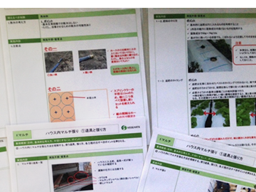 case-pict08