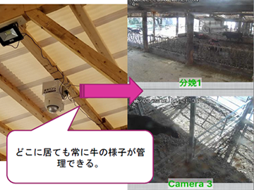 case-pict12